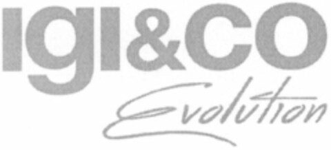 IgI&CO Evolution Logo (WIPO, 10/25/2017)