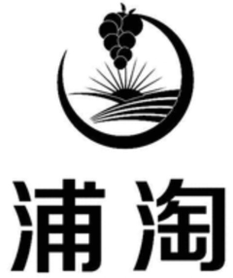  Logo (WIPO, 25.12.2020)