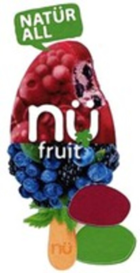 NATÜR ALL nü fruit Logo (WIPO, 07.12.2012)