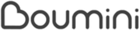 Boumini Logo (WIPO, 20.05.2016)