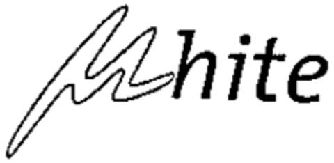 White Logo (WIPO, 28.06.1999)