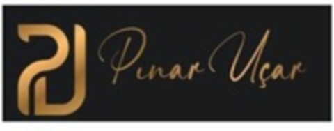 PU Pinar Uçar Logo (WIPO, 20.12.2022)