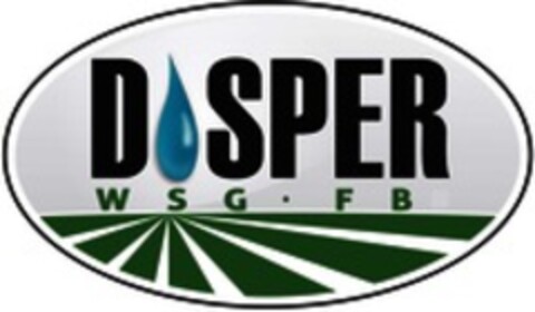 DISPER WSG FB Logo (WIPO, 07/25/2018)