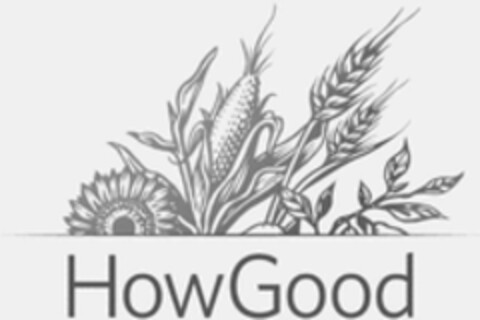 HowGood Logo (WIPO, 27.02.2023)