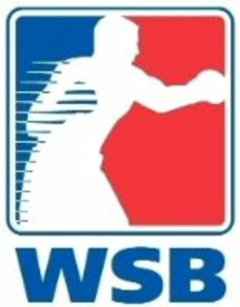 WSB Logo (WIPO, 12/04/2009)