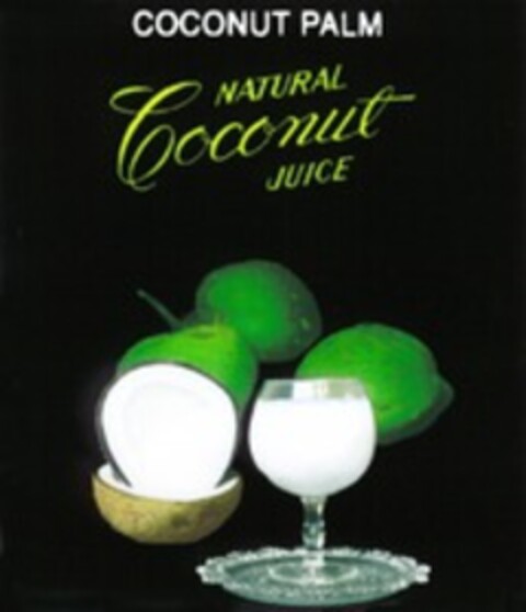 COCONUT PALM Logo (WIPO, 16.12.1999)