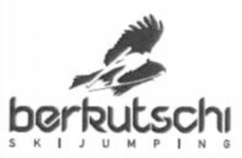 berkutschi SKIJUMPING Logo (WIPO, 28.10.2008)