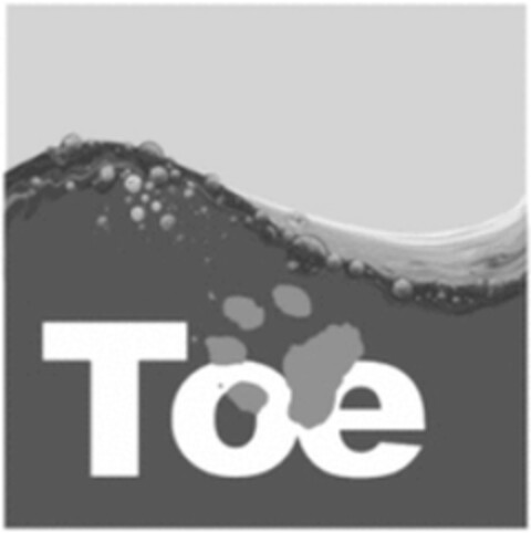 Toe Logo (WIPO, 09/20/2017)