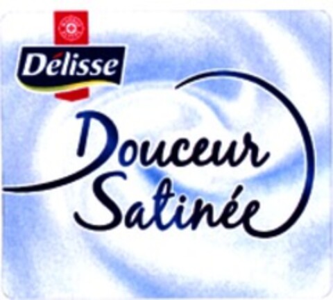 Délisse Douceur Satinée Logo (WIPO, 05.12.2007)