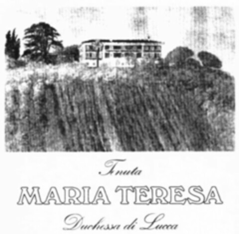 Tenuta MARIA TERESA Duchessa di Lucca Logo (WIPO, 07.12.2009)