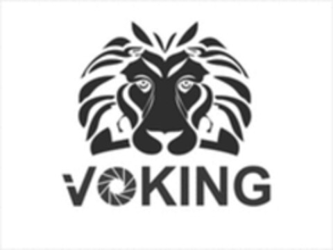 VOKING Logo (WIPO, 03/08/2023)