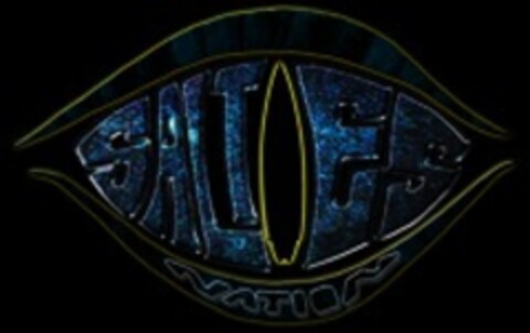 SALTIES NATION Logo (WIPO, 06.02.2017)