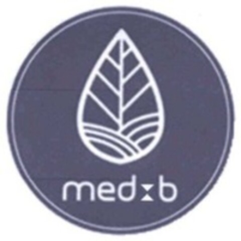 med b Logo (WIPO, 04/29/2020)