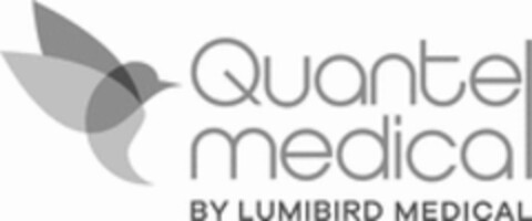 Quantel medical BY LUMIBIRD MEDICAL Logo (WIPO, 07.09.2022)