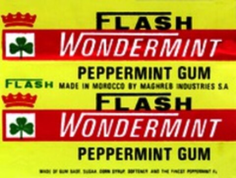 FLASH WONDERMINT PEPPERMINT GUM Logo (WIPO, 20.04.1999)