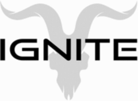 IGNITE Logo (WIPO, 04.12.2018)