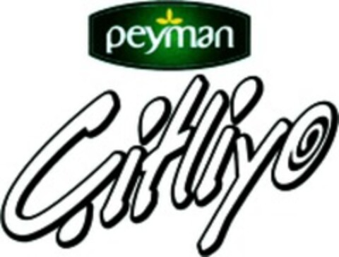 peyman Citliyo Logo (WIPO, 20.08.2009)