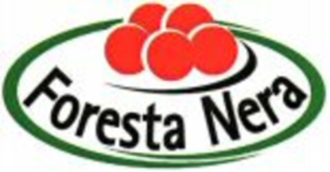 Foresta Nera Logo (WIPO, 17.04.2008)