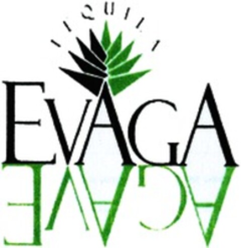 TEQUILA EVAGA Logo (WIPO, 30.01.2017)