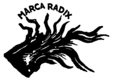 MARCA RADIX Logo (WIPO, 02.08.1955)