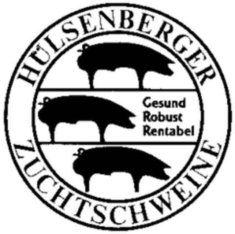 HÜLSENBERGER ZUCHTSCHWEINE Gesund Robust Rentabel Logo (WIPO, 17.10.1997)