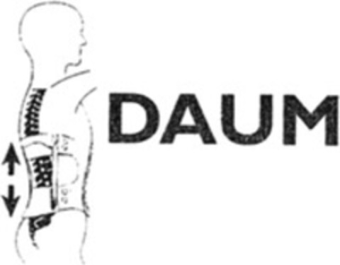 DAUM Logo (WIPO, 22.02.2008)