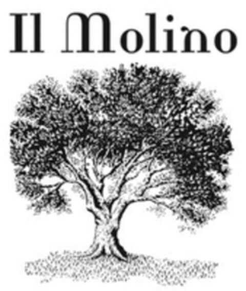 Il Molino Logo (WIPO, 12.01.2017)