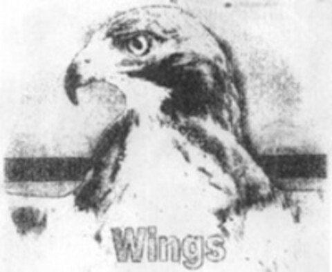 Wings Logo (WIPO, 02/08/2000)