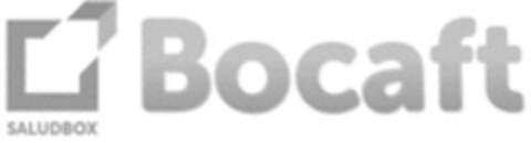 SALUDBOX Bocaft Logo (WIPO, 06.04.2017)