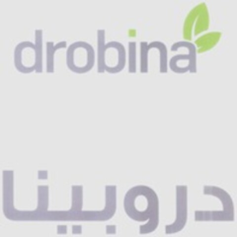 drobina Logo (WIPO, 01.02.2023)